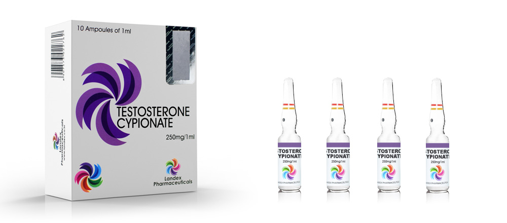 TESTO C - TESTOSTERONE CYPIONATE - LANDEX PHARMACEUTICALS - Image 2